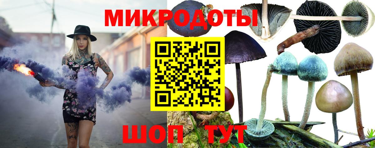 Вятские Поляны  как найти закладки  Вход с VPN  Псилоцибиновые грибы GOLDEN TEACHER 